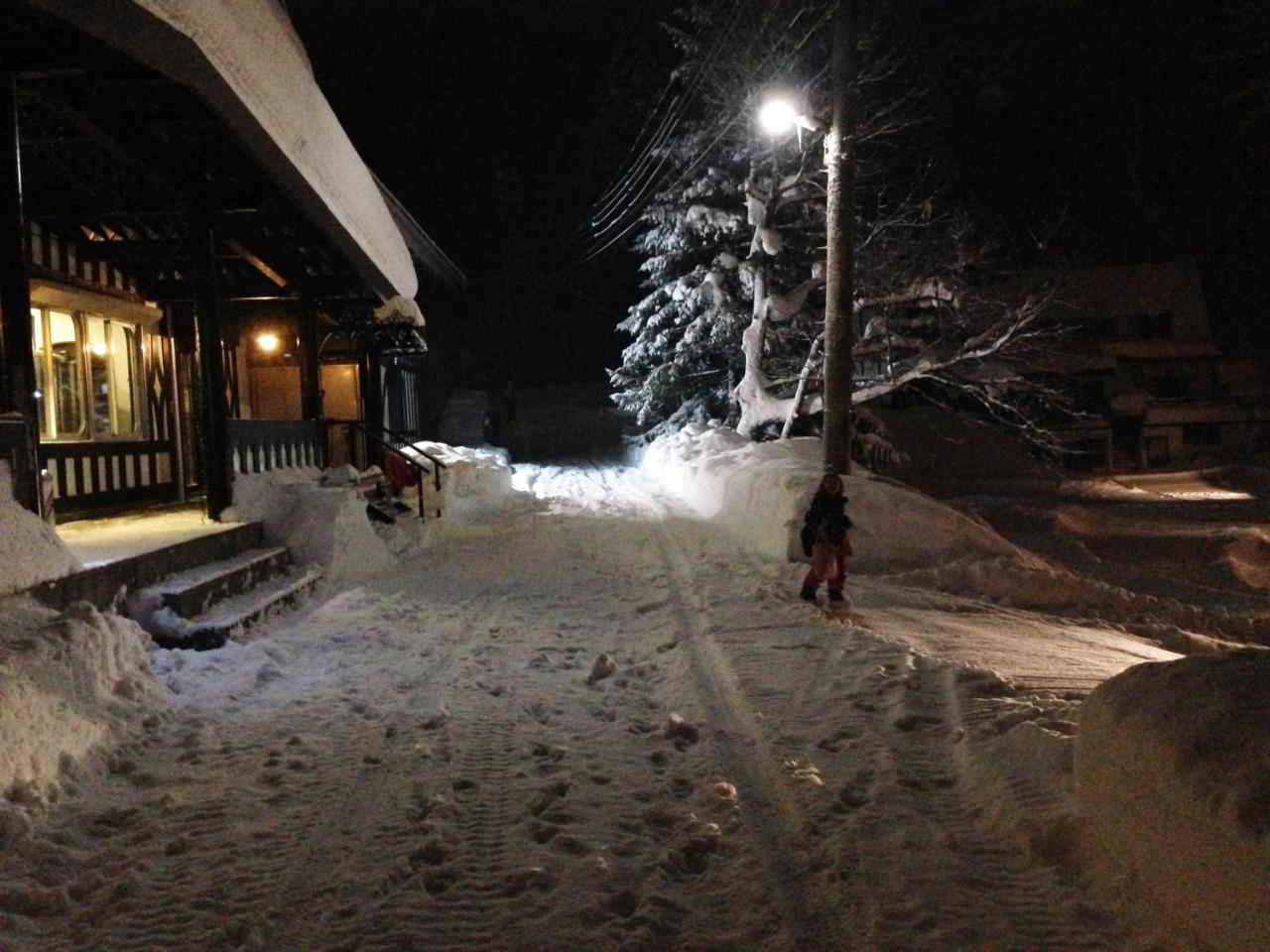 Hakuba Iwatake Apartments Bagian luar foto